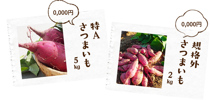 特Aさつまいも、規格外さつまいも